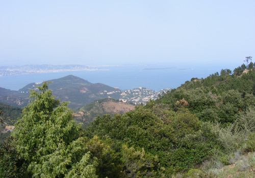 Lazurowe wybrzeże- miasteczko w oddali