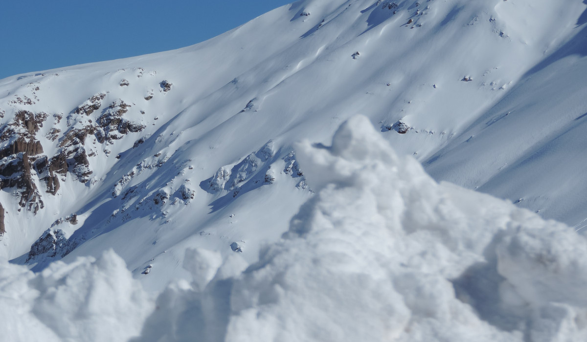 Photo by Yasmin Gomes on Unsplash