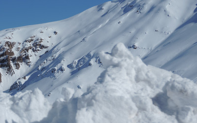 Photo by Yasmin Gomes on Unsplash