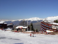 Hotele są ukryte w lesie.