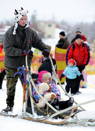 Słowacja - śnieżne psy- sanki 2