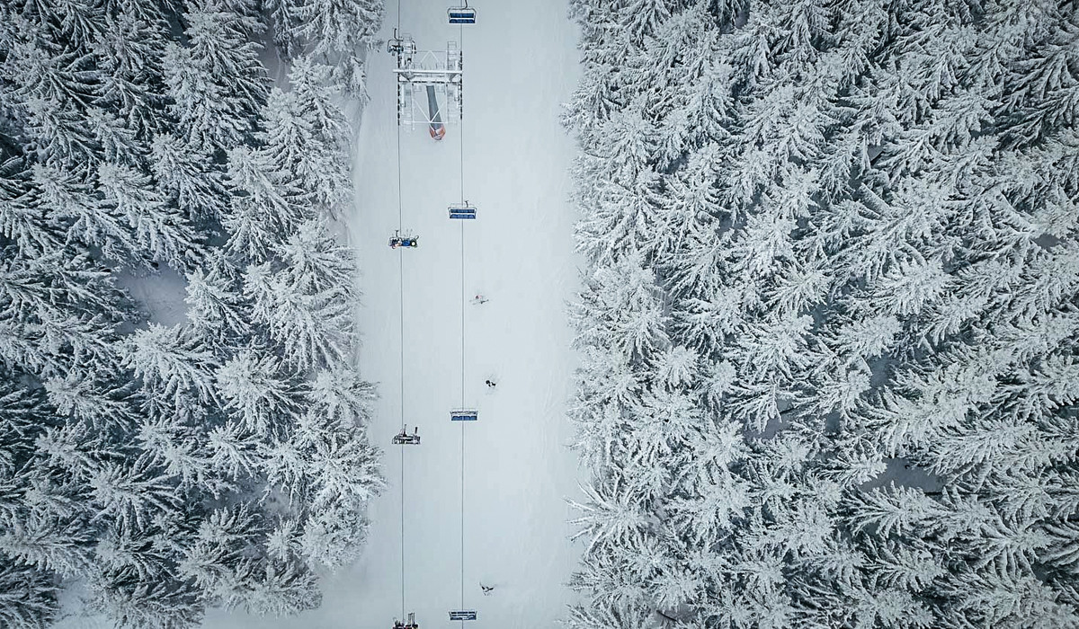 Zieleniec (foto: mat. prasowe)