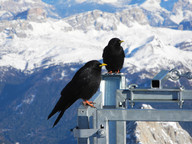 Parka w tarasie widokowym :)