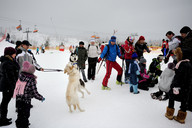 Słowacja - śnieżne psy- przywitane psów