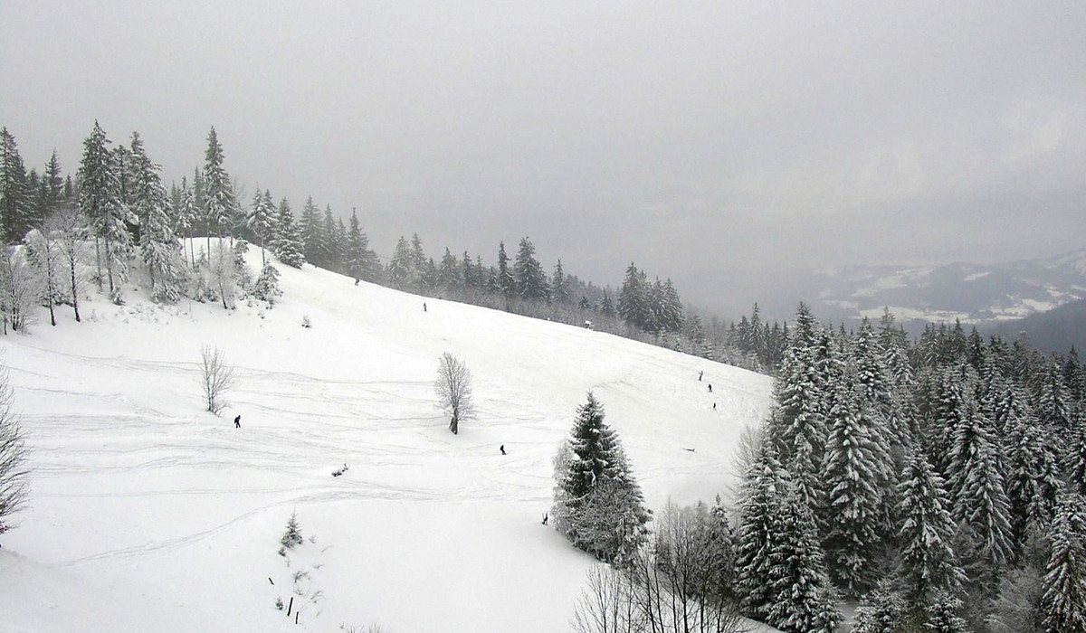 Cieńków (foto: P. Tomczyk) Cieńków (foto: P. Tomczyk)