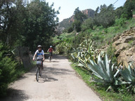 Lazurowe wybrzeże - agawy