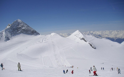 Tux (foto: D. Biernat)