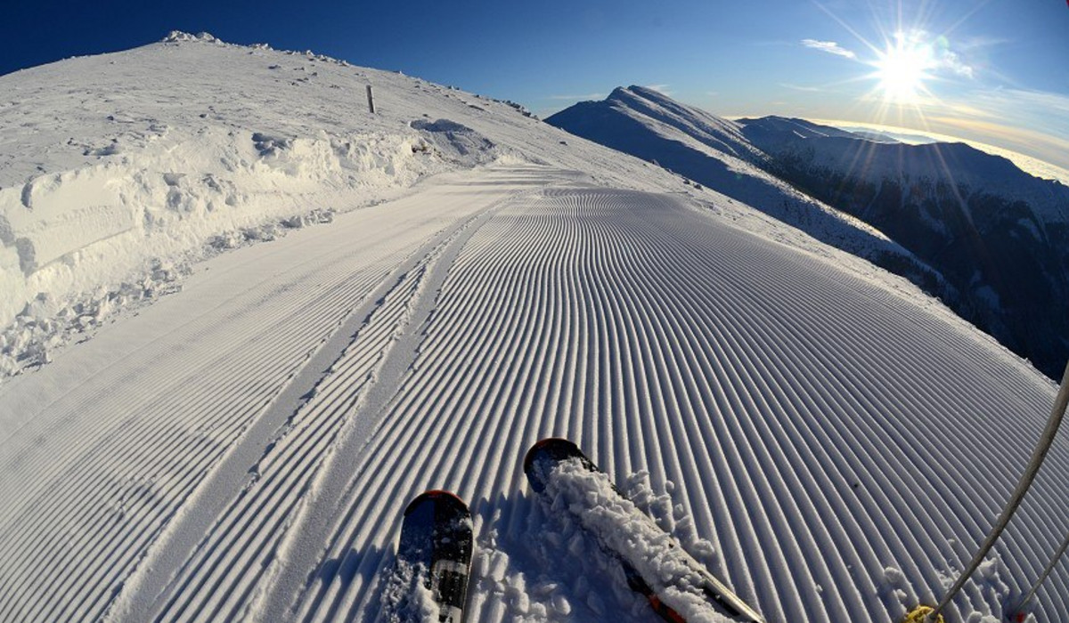 źródło: Agencja Reklamowa CzART