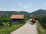 Trasa rowerowa nad Dunajem- miedzy sadami morelowymi