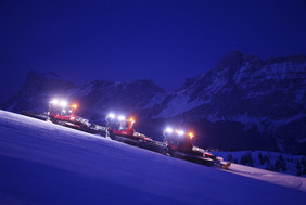 Ratraki Prinoth (foto: SMG)