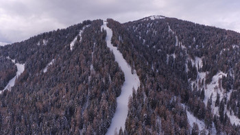 Czarna trasa w Folgarida (foto: ski.it)