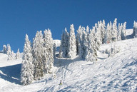 Śniegu jest pod dostatkiem :)