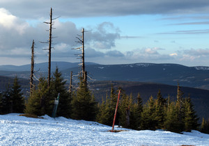 Skitoury na Szrenicy