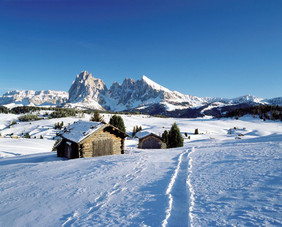 Widoki z Alpe di Siusi (foto: cohnwolfe.pl)