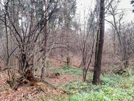 Jesień zbiera żniwo