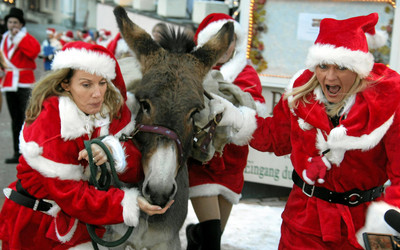 (foto: www.swiss-image.ch)