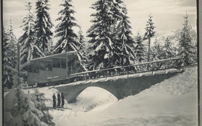 Góra Parkowa (foto: PKL)