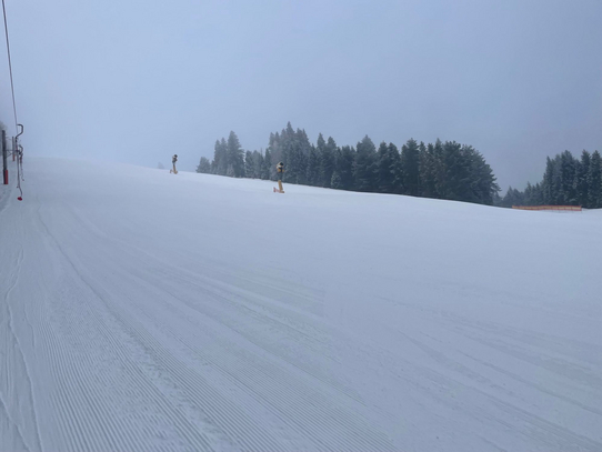 Brezowica - sztruks o poranku / fot. Marianna Lach