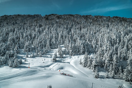 Pas de la Casa Grau Roig (E. Sedano)