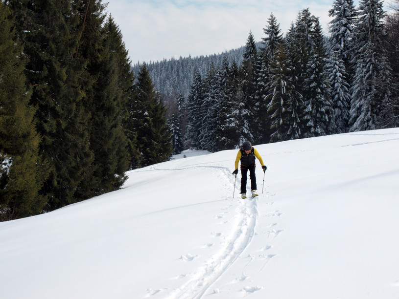 Skitoury w Gorcach