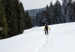 Skitoury w Gorcach