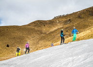 Niebo ... trawa ... śnieg - taka mamy zimę