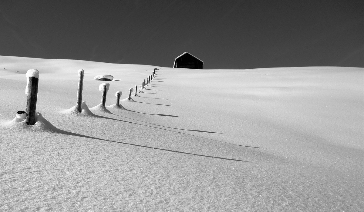 (foto: mat. prasowe)