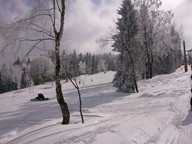 Rzyki - Czarny Gron -  stok za drzewami