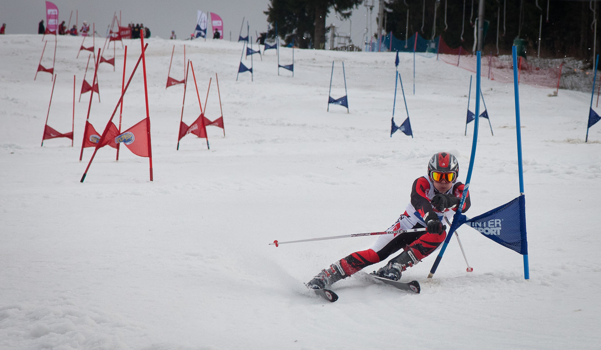 (foto: Tomek Gola) (foto: Tomek Gola)