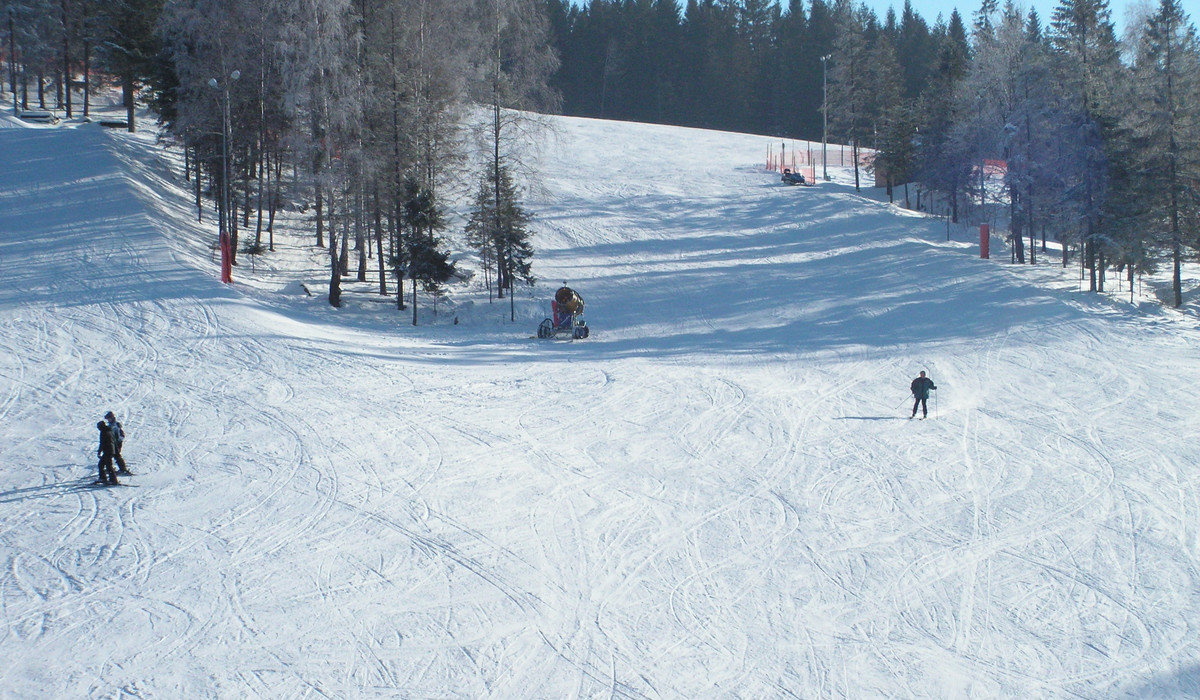Dwie Doliny Muszyna - Wierchomla (foto: narty.pl)