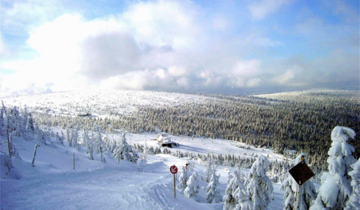 Szrenica (foto: K.Kulczycki) Szrenica (foto: K.Kulczycki)