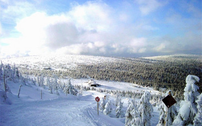 Szrenica (foto: K.Kulczycki)