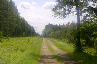 W drodze do Pszczyny- przy słupach z wysokim napięciem