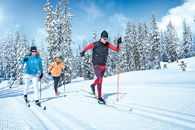 Koninki trasy biegowe