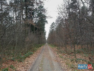 Taaaaaka prosta nas czeka