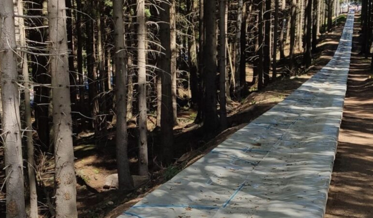 Taśma narciarska Leniuch w Karpaczu (foto: http://karpaczskiarena.pl)