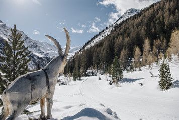 Val Venosta IDM Südtirol-Alto Adige (fot. Benjamin Pfitscher)