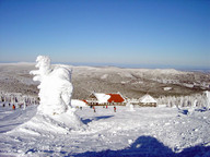 Śnieżne rzeźby