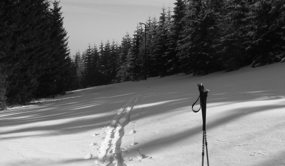 źródło: Lusti-Polska