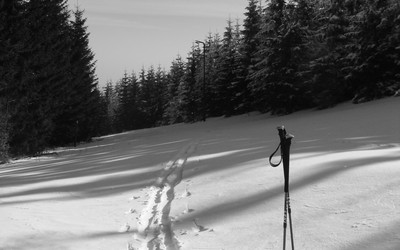 źródło: Lusti-Polska