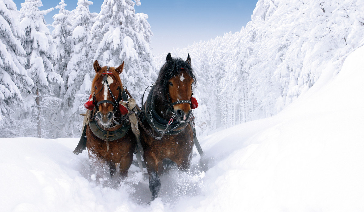Agroturystyka (foto: Austria.info)