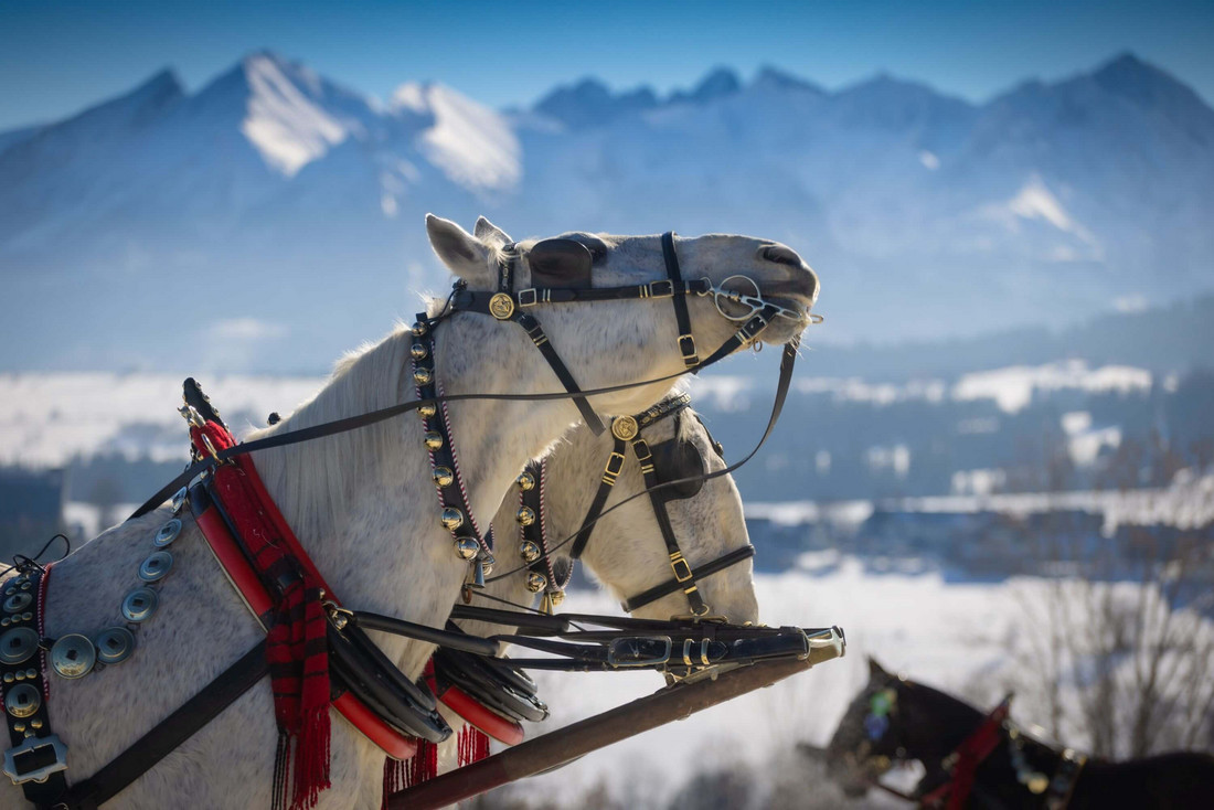Karnawał Góralski w Bukowinie Tatrzańskiej / fot.  Konrad Rogoziński