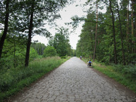 W drodze do Miasteczka Śląskiego 1