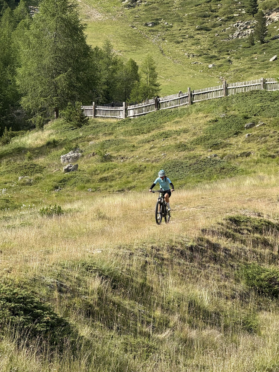 Rowerem MTB po alpejskicj polanach Val Senales Rowerzystka w jasnoniebieskiej koszulce i kasku jedzie rowerem MTB przez zielono-żółte trawiaste zbocze w wysokich górach