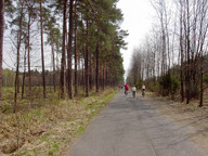 W drodze na Paprocany.