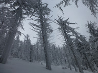 Droga powrotna do wyciągu 1