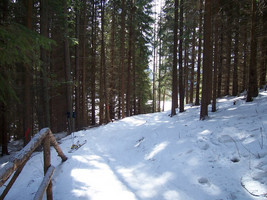 Przejazd na nartach (foto: worldmapz.com)