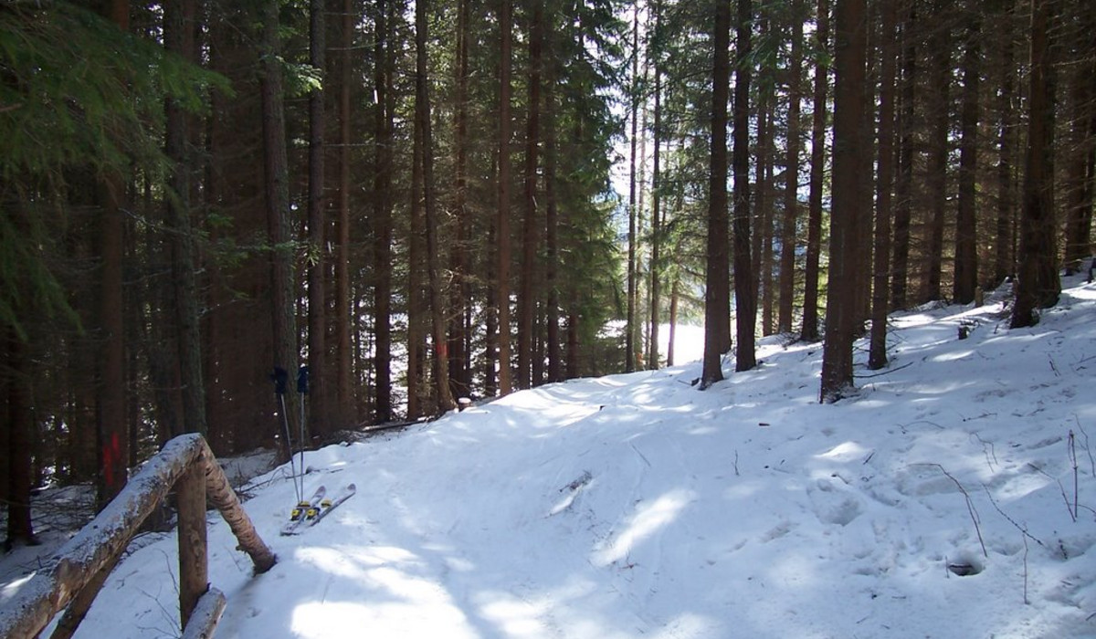 Przejazd na nartach (foto: worldmapz.com)