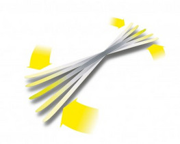 SWINGWEIGHT SKATING/CLASSIC