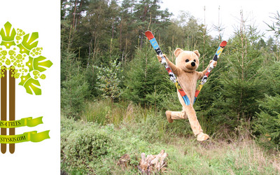 (foto: majestyskis.com)